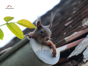 Gutters and Fascias - Trusted Roofing Services Leeds - Yorkshire - Season roof inspection tips